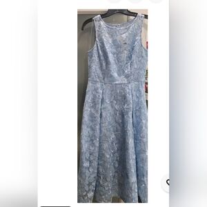 Adrianna Papell Sky Blue Embroidered overlay Midi Dress, Fully Lined.